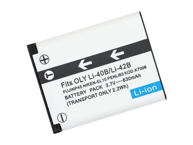 Casio CNP-80 replacement battery