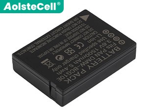 Leica V-Lux 20 replacement battery