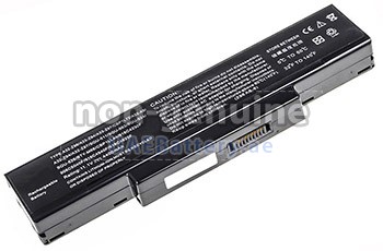 Replacement battery for MSI M670