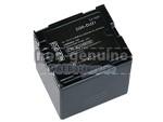 Panasonic NV-GS200GN replacement battery