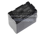 Panasonic NV-DS77 replacement battery