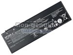SIEMENS SP306(3inr19/66-2) replacement battery