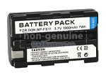 Sony DSC-P20 replacement battery