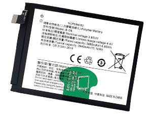 Vivo B-G6 replacement battery