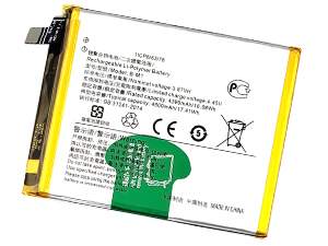 Vivo B-M1 replacement battery